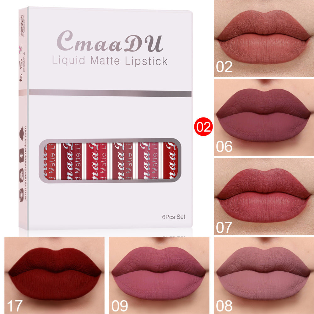 Lipstick color chart, 6 varieties